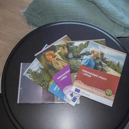 Enjoyharrachov - Atraktivní Klidný Klimatizovaný 20 V Centru Harrachova S Parkováním, Wifi-wlan, Sat, Herní Konzolí, Ipad, Netflix Zdarma, Možností Dobíjení Auta, Výhledem Do Zahrady A Na Kostelík Jen 150m Od Lanovky