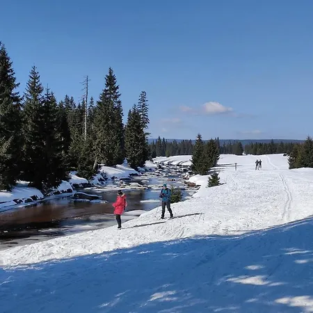 Enjoyharrachov - Atraktivni Klidny Klimatizovany 20 V Centru S Terasou A Parkovanim, Wifi-wlan, Sat, Herni Konzoli, Ipad, Netflix Zdarma, Moznosti Dobijeni Auta, Vyhledem Do Zahrady A Na Kostelik Jen 150m Od Lanovky Harrachov