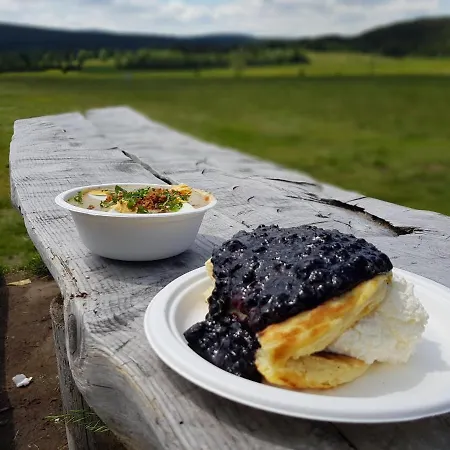 Enjoyharrachov - Atraktivni Klidny Klimatizovany 20 V Centru Harrachova S Parkovanim, Wifi-wlan, Sat, Herni Konzoli, Ipad, Netflix Zdarma, Moznosti Dobijeni Auta, Vyhledem Do Zahrady A Na Romanticky Kostelik * Harrachov