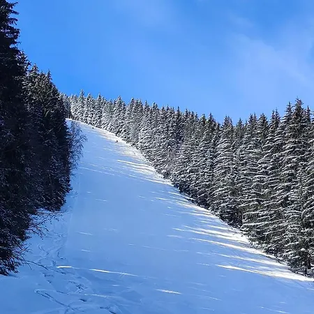 Enjoyharrachov - Atraktivní Klidný Klimatizovaný 20 V Centru Harrachova S Parkováním, Wifi-wlan, Sat, Herní Konzolí, Ipad, Netflix Zdarma, Možností Dobíjení Auta, Výhledem Do Zahrady A Na Kostelík Jen 150m Od Lanovky Apartmán