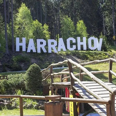 Enjoyharrachov - Atraktivní Klidný Klimatizovaný 20 V Centru Harrachova S Parkováním, Wifi-wlan, Sat, Herní Konzolí, Ipad, Netflix Zdarma, Možností Dobíjení Auta, Výhledem Do Zahrady A Na Kostelík Jen 150m Od Lanovky Apartmán *