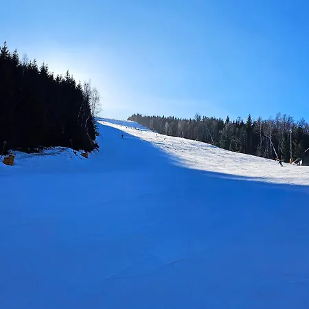 Enjoyharrachov - Atraktivni Klidny Klimatizovany 20 V Centru Harrachova S Parkovanim, Wifi-wlan, Sat, Herni Konzoli, Ipad, Netflix Zdarma, Moznosti Dobijeni Auta, Vyhledem Do Zahrady A Na Romanticky Kostelik Διαμέρισμα