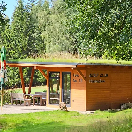 Enjoyharrachov - Atraktivni Klidny Klimatizovany 20 V Centru S Terasou A Parkovanim, Wifi-wlan, Sat, Herni Konzoli, Ipad, Netflix Zdarma, Moznosti Dobijeni Auta, Vyhledem Do Zahrady A Na Kostelik Jen 150m Od Lanovky Διαμέρισμα Harrachov