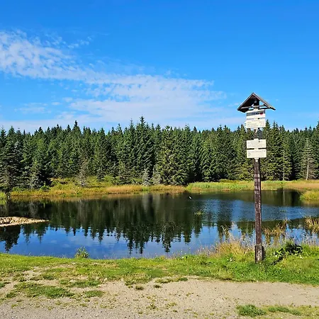 Enjoyharrachov - Atraktivni Klidny Klimatizovany 20 V Centru S Terasou A Parkovanim, Wifi-wlan, Sat, Herni Konzoli, Ipad, Netflix Zdarma, Moznosti Dobijeni Auta, Vyhledem Do Zahrady A Na Kostelik Jen 150m Od Lanovky * Harrachov