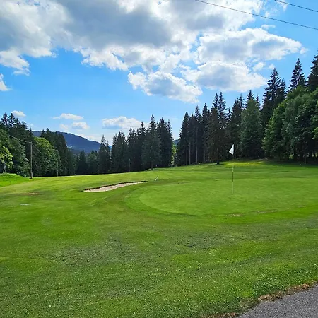 Enjoyharrachov - Atraktivni Klidny Klimatizovany 20 V Centru Harrachova S Parkovanim, Wifi-wlan, Sat, Herni Konzoli, Ipad, Netflix Zdarma, Moznosti Dobijeni Auta, Vyhledem Do Zahrady A Na Romanticky Kostelik Διαμέρισμα