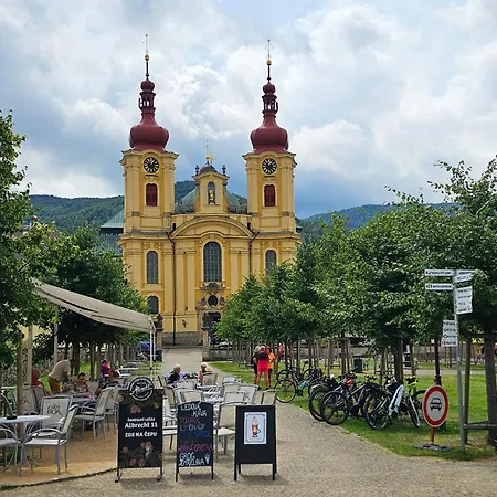Enjoyharrachov - Atraktivni Klidny Klimatizovany 20 V Centru S Terasou A Parkovanim, Wifi-wlan, Sat, Herni Konzoli, Ipad, Netflix Zdarma, Moznosti Dobijeni Auta, Vyhledem Do Zahrady A Na Kostelik Jen 150m Od Lanovky * Harrachov