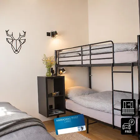 Enjoyharrachov - Atraktivni Klidny Klimatizovany 20 V Centru Harrachova S Parkovanim, Wifi-wlan, Sat, Herni Konzoli, Ipad, Netflix Zdarma, Moznosti Dobijeni Auta, Vyhledem Do Zahrady A Na Kostelik Jen 150m Od Lanovky Daire Harrachov