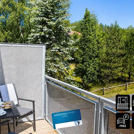 Enjoyharrachov - Atraktivni Klidny Klimatizovany 20 V Centru Harrachova S Parkovanim, Wifi-wlan, Sat, Herni Konzoli, Ipad, Netflix Zdarma, Moznosti Dobijeni Auta, Vyhledem Do Zahrady A Na Kostelik Jen 150m Od Lanovky *