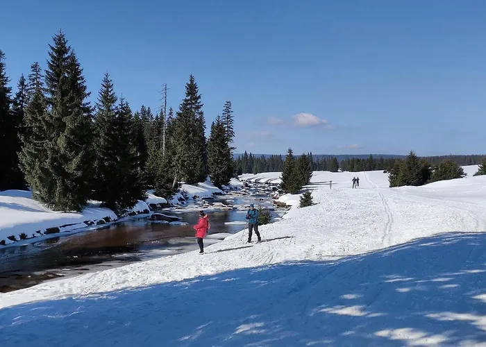 Enjoyharrachov - Atraktivni Klidny Klimatizovany 20 V Centru Harrachova S Parkovanim, Wifi-wlan, Sat, Herni Konzoli, Ipad, Netflix Zdarma, Moznosti Dobijeni Auta, Vyhledem Do Zahrady A Na Kostelik Jen 150m Od Lanovky هاراشوف