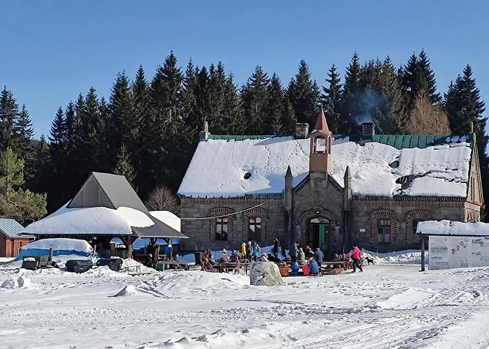 Enjoyharrachov - Atraktivni Klidny Klimatizovany 20 V Centru Harrachova S Parkovanim, Wifi-wlan, Sat, Herni Konzoli, Ipad, Netflix Zdarma, Moznosti Dobijeni Auta, Vyhledem Do Zahrady A Na Kostelik Jen 150m Od Lanovky شقة هاراشوف