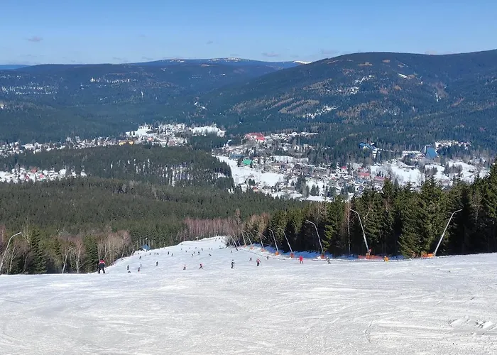 Enjoyharrachov - Atraktivni Klidny Klimatizovany 20 V Centru Harrachova S Parkovanim, Wifi-wlan, Sat, Herni Konzoli, Ipad, Netflix Zdarma, Moznosti Dobijeni Auta, Vyhledem Do Zahrady A Na Kostelik Jen 150m Od Lanovky شقة *