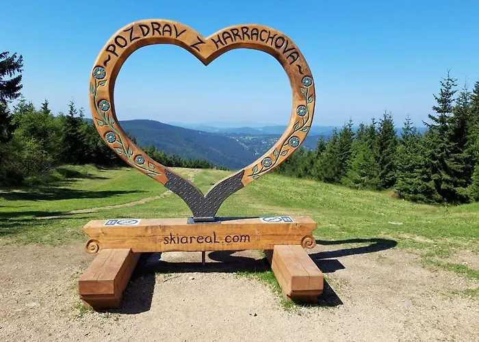 Enjoyharrachov - Atraktivni Klidny Klimatizovany 20 V Centru Harrachova S Parkovanim, Wifi-wlan, Sat, Herni Konzoli, Ipad, Netflix Zdarma, Moznosti Dobijeni Auta, Vyhledem Do Zahrady A Na Kostelik Jen 150m Od Lanovky شقة *