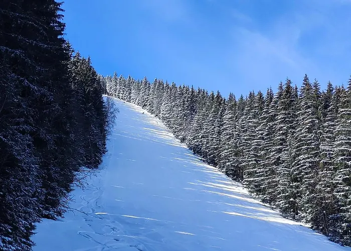 Enjoyharrachov - Atraktivni Klidny Klimatizovany 20 V Centru Harrachova S Parkovanim, Wifi-wlan, Sat, Herni Konzoli, Ipad, Netflix Zdarma, Moznosti Dobijeni Auta, Vyhledem Do Zahrady A Na Kostelik Jen 150m Od Lanovky شقة