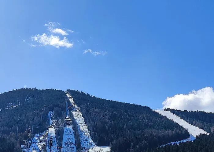 Enjoyharrachov - Atraktivni Klidny Klimatizovany 20 V Centru Harrachova S Parkovanim, Wifi-wlan, Sat, Herni Konzoli, Ipad, Netflix Zdarma, Moznosti Dobijeni Auta, Vyhledem Do Zahrady A Na Kostelik Jen 150m Od Lanovky *