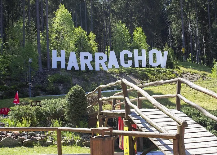 Enjoyharrachov - Atraktivni Klidny Klimatizovany 20 V Centru Harrachova S Parkovanim, Wifi-wlan, Sat, Herni Konzoli, Ipad, Netflix Zdarma, Moznosti Dobijeni Auta, Vyhledem Do Zahrady A Na Kostelik Jen 150m Od Lanovky شقة *