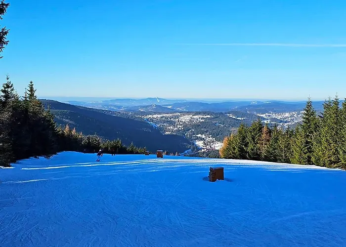 Enjoyharrachov - Atraktivni Klidny Klimatizovany 20 V Centru Harrachova S Parkovanim, Wifi-wlan, Sat, Herni Konzoli, Ipad, Netflix Zdarma, Moznosti Dobijeni Auta, Vyhledem Do Zahrady A Na Kostelik Jen 150m Od Lanovky شقة