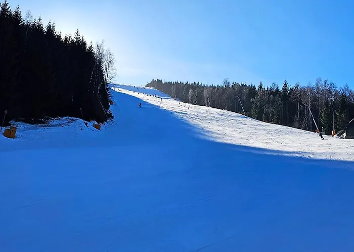 Enjoyharrachov - Atraktivni Klidny Klimatizovany 20 V Centru Harrachova S Parkovanim, Wifi-wlan, Sat, Herni Konzoli, Ipad, Netflix Zdarma, Moznosti Dobijeni Auta, Vyhledem Do Zahrady A Na Kostelik Jen 150m Od Lanovky شقة