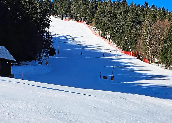 شقة Enjoyharrachov - Atraktivni Klidny Klimatizovany 20 V Centru Harrachova S Parkovanim, Wifi-wlan, Sat, Herni Konzoli, Ipad, Netflix Zdarma, Moznosti Dobijeni Auta, Vyhledem Do Zahrady A Na Kostelik Jen 150m Od Lanovky