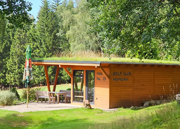 Enjoyharrachov - Atraktivni Klidny Klimatizovany 20 V Centru Harrachova S Parkovanim, Wifi-wlan, Sat, Herni Konzoli, Ipad, Netflix Zdarma, Moznosti Dobijeni Auta, Vyhledem Do Zahrady A Na Kostelik Jen 150m Od Lanovky شقة هاراشوف