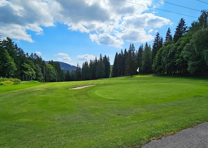 Enjoyharrachov - Atraktivni Klidny Klimatizovany 20 V Centru Harrachova S Parkovanim, Wifi-wlan, Sat, Herni Konzoli, Ipad, Netflix Zdarma, Moznosti Dobijeni Auta, Vyhledem Do Zahrady A Na Kostelik Jen 150m Od Lanovky شقة