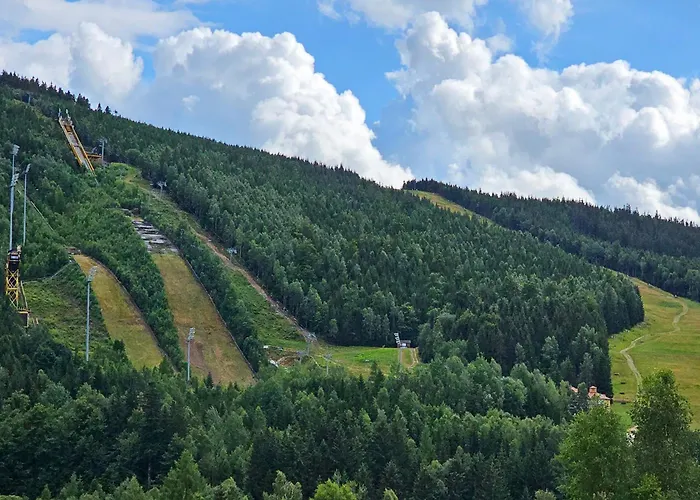 Enjoyharrachov - Atraktivni Klidny Klimatizovany 20 V Centru Harrachova S Parkovanim, Wifi-wlan, Sat, Herni Konzoli, Ipad, Netflix Zdarma, Moznosti Dobijeni Auta, Vyhledem Do Zahrady A Na Kostelik Jen 150m Od Lanovky هاراشوف