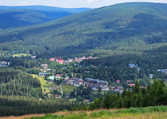 Enjoyharrachov - Atraktivni Klidny Klimatizovany 20 V Centru Harrachova S Parkovanim, Wifi-wlan, Sat, Herni Konzoli, Ipad, Netflix Zdarma, Moznosti Dobijeni Auta, Vyhledem Do Zahrady A Na Kostelik Jen 150m Od Lanovky