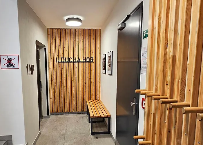 Enjoyharrachov - Atraktivni Klidny Klimatizovany 20 V Centru Harrachova S Parkovanim, Wifi-wlan, Sat, Herni Konzoli, Ipad, Netflix Zdarma, Moznosti Dobijeni Auta, Vyhledem Do Zahrady A Na Kostelik Jen 150m Od Lanovky