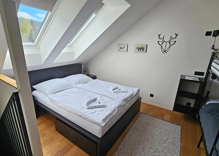 Enjoyharrachov - Atraktivni Klidny Klimatizovany 20 V Centru Harrachova S Parkovanim, Wifi-wlan, Sat, Herni Konzoli, Ipad, Netflix Zdarma, Moznosti Dobijeni Auta, Vyhledem Do Zahrady A Na Kostelik Jen 150m Od Lanovky * هاراشوف